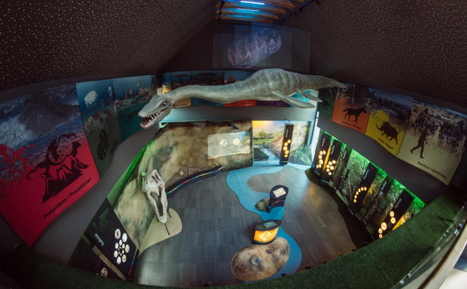 2017-07-12 16-47-53 author Rytis Seskaitis.jpg